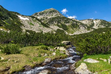 Dağ nehri ve Muratov Tepesi, Pirin Dağı, Bulgaristan