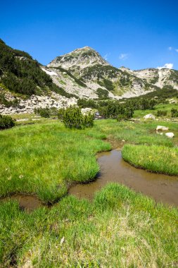 Dağ nehri ve Muratov Tepesi, Pirin Dağı, Bulgaristan