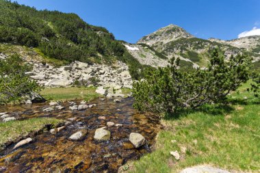 Dağ nehri ve Muratov Tepesi, Pirin Dağı, Bulgaristan