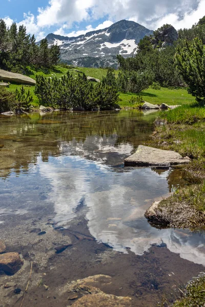 Landskap Med Bergsflod Och Banderishki Chukar Peak Pirin Mountain Bulgarien — Stockfoto