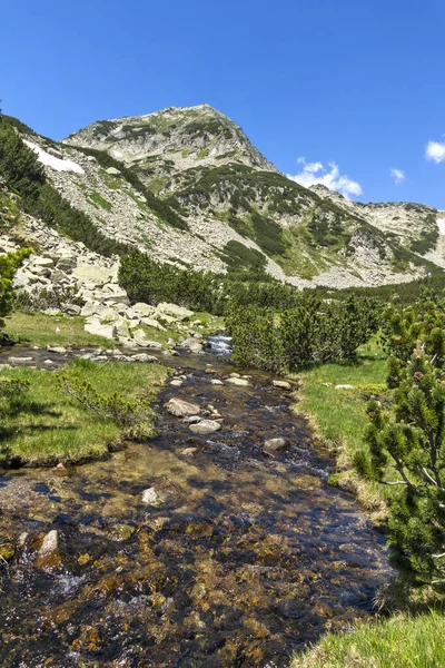 Paisaje Con Río Montaña Pico Muratov Montaña Pirin Bulgaria —  Fotos de Stock