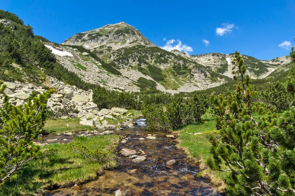Landscape Mountain River Muratov Peak Pirin Mountain Bulgaria — Stock Photo, Image