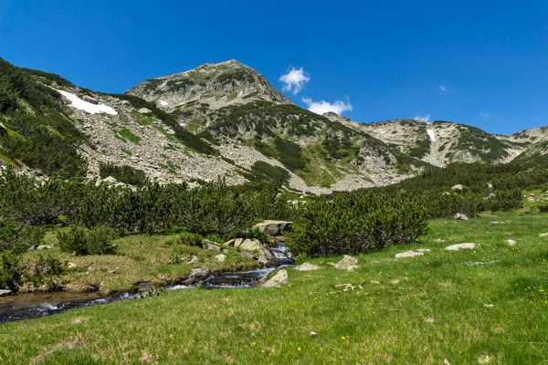保加利亚皮林山山区河流和穆拉托夫峰景观 — 图库照片