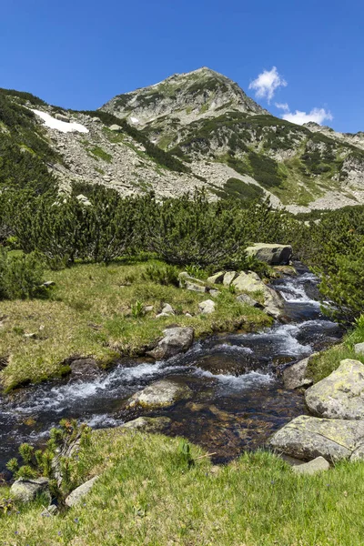 Krajobraz Górską Rzeką Szczytem Muratov Góra Pirin Bułgaria — Zdjęcie stockowe