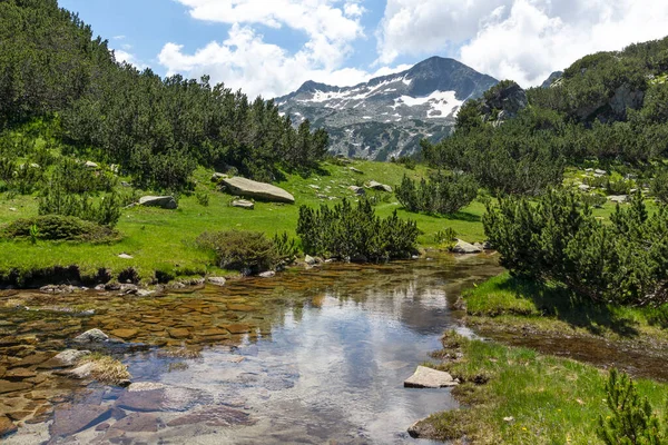 Landschaft Mit Gebirgsfluss Und Banderishki Chukar Gipfel Pirin Gebirge Bulgarien — Stockfoto