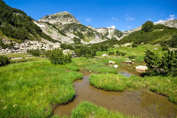 Landskap Med Bergsflod Och Muratov Peak Pirin Mountain Bulgarien — Stockfoto