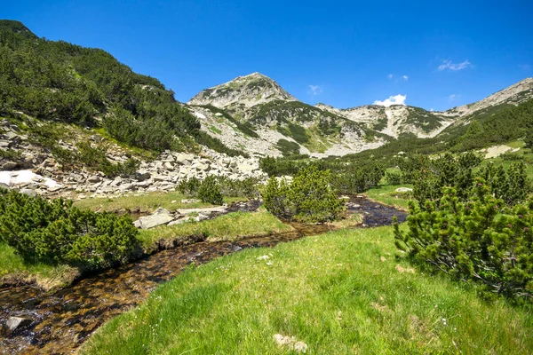 Landskap Med Fjellelv Muratov Peak Pirinfjellet Bulgaria – stockfoto