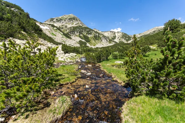 Lanskap Dengan Sungai Pegunungan Dan Puncak Muratov Gunung Pirin Bulgaria — Stok Foto