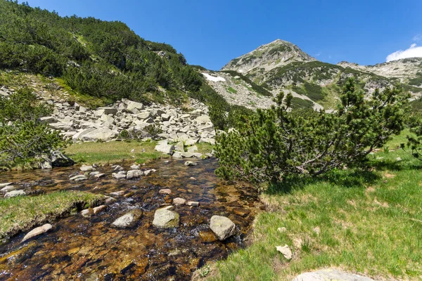 Lanskap Dengan Sungai Pegunungan Dan Puncak Muratov Gunung Pirin Bulgaria — Stok Foto
