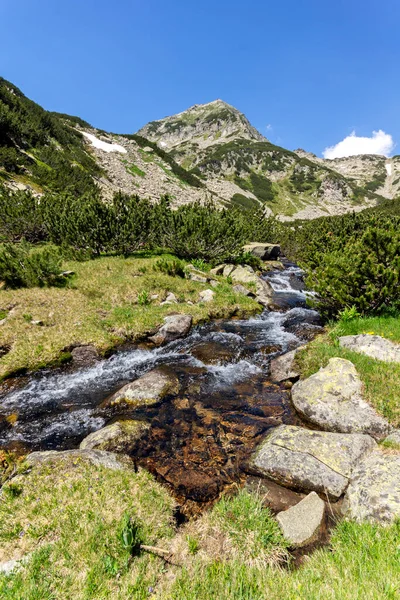 Landschaft Mit Gebirgsfluss Und Muratov Gipfel Pirin Gebirge Bulgarien — Stockfoto