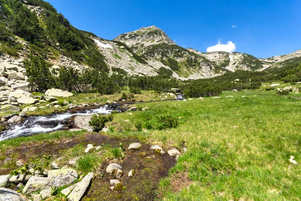Paisagem Com Rio Montanha Pico Muratov Pirin Mountain Bulgária — Fotografia de Stock