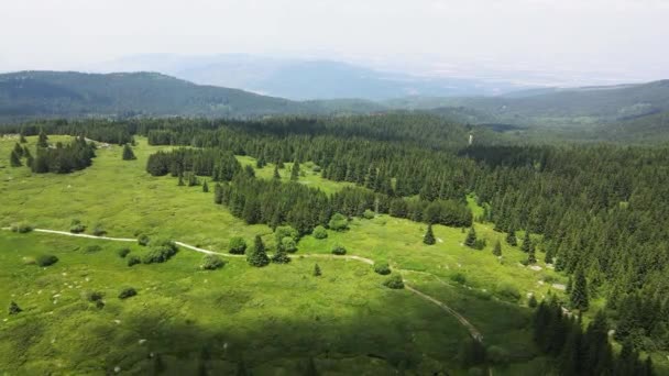 Вид Высоты Птичьего Полета Гору Витоша Софийский Район Болгария — стоковое видео