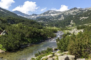 Bulgaristan 'ın Pirin Dağı' ndaki Banderitsa Nehri 'nin yaz manzarası