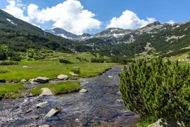 Bulgaristan 'ın Pirin Dağı' ndaki Banderitsa Nehri 'nin yaz manzarası