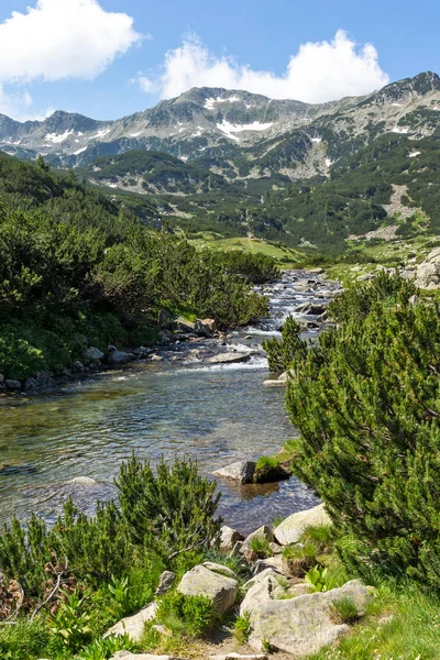 Pemandangan Musim Panas Sungai Banderitsa Pirin Mountain Bulgaria — Stok Foto