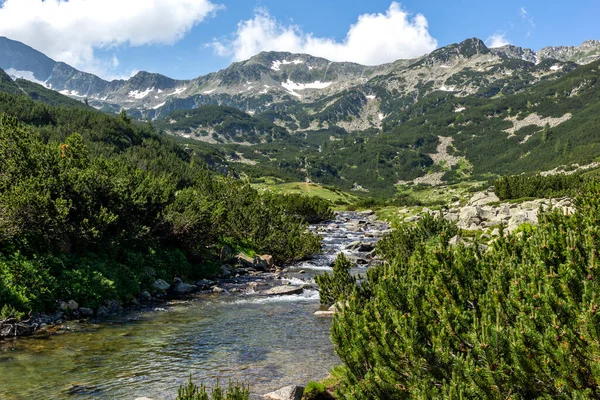 Pemandangan Musim Panas Sungai Banderitsa Pirin Mountain Bulgaria — Stok Foto