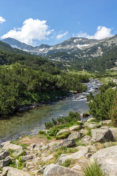 Bulgaristan Pirin Dağı Ndaki Banderitsa Nehri Nin Yaz Manzarası — Stok fotoğraf