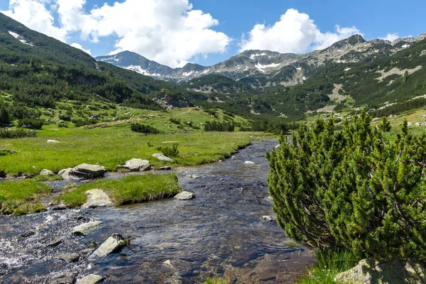 Pemandangan Musim Panas Sungai Banderitsa Pirin Mountain Bulgaria — Stok Foto