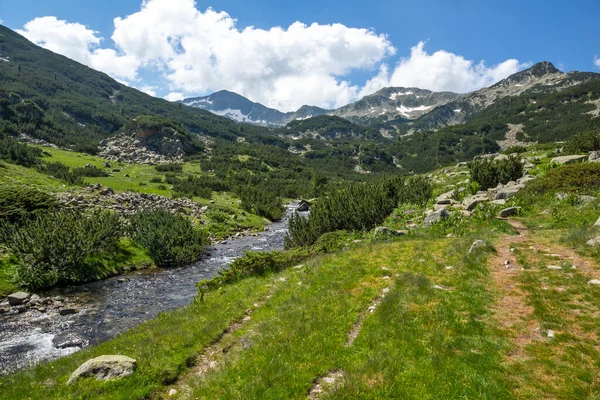 Sommar Landskap Banderitsa River Vid Pirin Mountain Bulgarien — Stockfoto