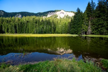 Bulgaristan 'ın Smolyan Bölgesi, Rodop Dağları' ndaki Grassy (Trevistoto) Smolyan Gölü manzarası