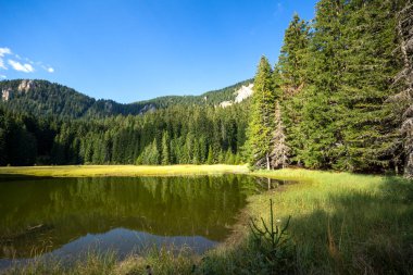 Bulgaristan 'ın Smolyan Bölgesi, Rodop Dağları' ndaki Grassy (Trevistoto) Smolyan Gölü manzarası