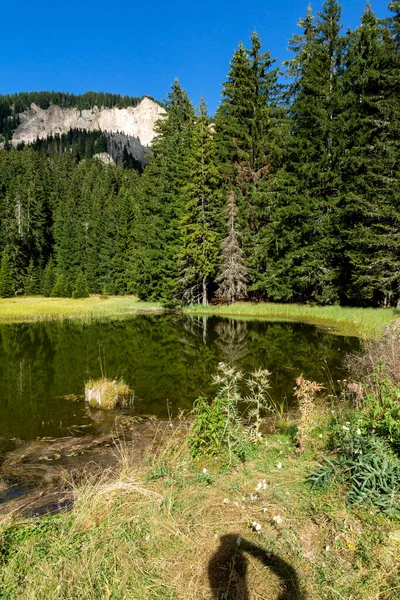 Paisaje Hierba Trevistoto Lago Smolyan Las Montañas Rhodope Región Smolyan —  Fotos de Stock