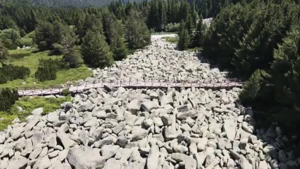 Luftaufnahme Von Morenit Moränen Steinfluss Vitosha Gebirge Stadtgebiet Sofia Bulgarien — Stockvideo