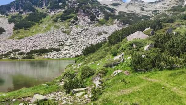 Incroyable Vue Été Sur Lac Muratovo Pirin Mountain Bulgarie — Video