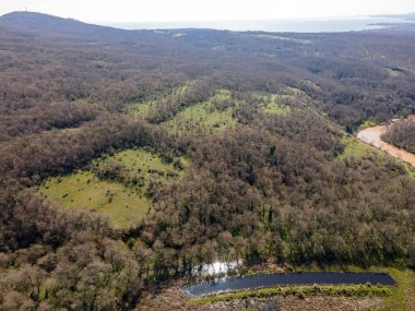 Bulgaristan 'ın Burgaz Bölgesi Arkutino bölgesindeki Ropotamo nehrinin hava manzarası