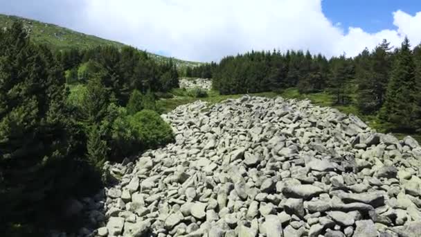 Widok Lotu Ptaka Morenite Moraines Kamienna Rzeka Górze Vitosha Obwód — Wideo stockowe