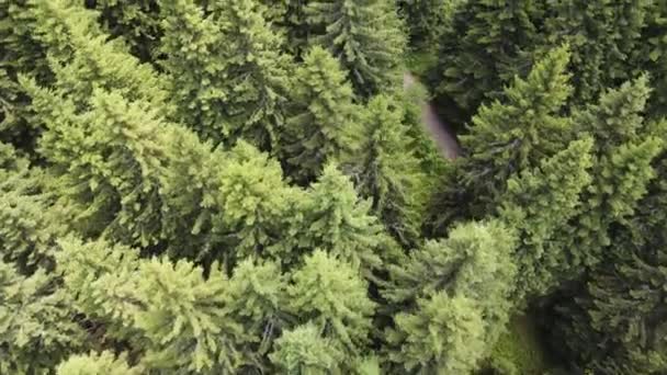 Luftaufnahme Des Konyarnika Gebiets Vitosha Gebirge Stadtgebiet Sofia Bulgarien — Stockvideo