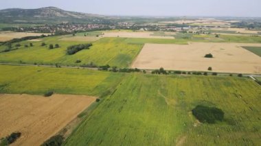 Bulgaristan 'ın Pazardzhik bölgesindeki Boshulya köyünün hava manzaralı ayçiçeği manzarası