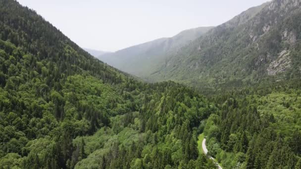 Vista Aérea Montaña Rila Cerca Kirilova Polyana Prado Cyril Región — Vídeos de Stock