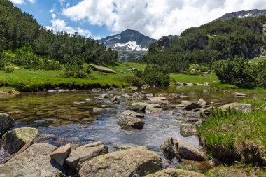 Küçük Dağ nehri ve Banderishki Chukar Tepesi, Pirin Dağı, Bulgaristan