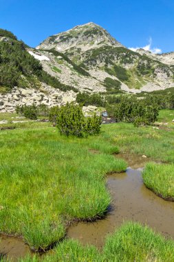 Muratovo Gölü yakınlarındaki Küçük Dağ nehri, Pirin Dağı, Bulgaristan