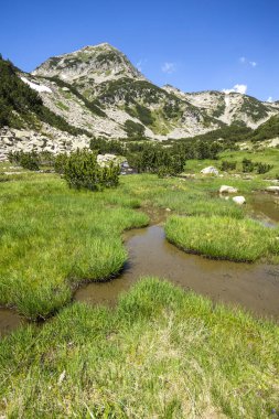 Muratovo Gölü yakınlarındaki Küçük Dağ nehri, Pirin Dağı, Bulgaristan