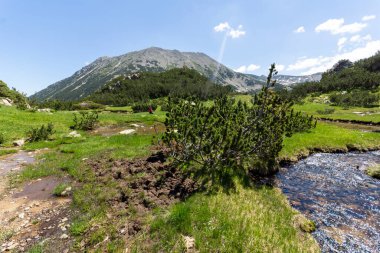 Muratovo Gölü yakınlarındaki Küçük Dağ nehri, Pirin Dağı, Bulgaristan