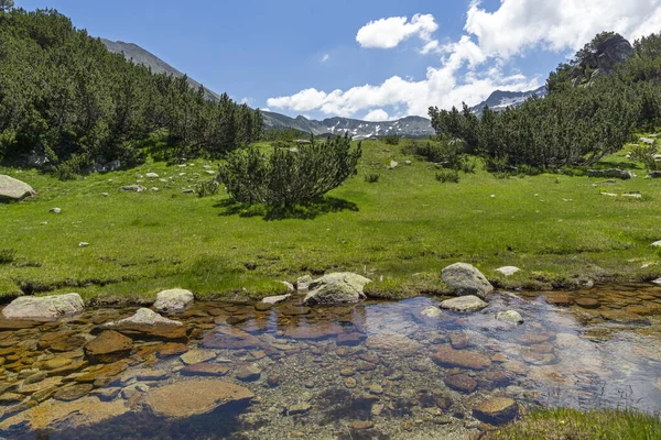 Landskap Med Liten Bergsflod Nära Muratovo Sjö Pirin Mountain Bulgarien — Stockfoto