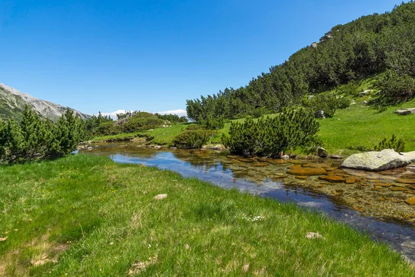 Landschaft Mit Kleinem Gebirgsfluss Der Nähe Des Muratovo Sees Pirin — Stockfoto