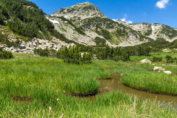 Krajina Malou Horskou Řekou Blízkosti Jezera Muratovo Pirin Mountain Bulharsko — Stock fotografie
