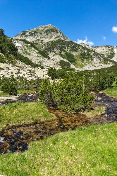 Landschaft Mit Kleinem Gebirgsfluss Der Nähe Des Muratovo Sees Pirin — Stockfoto