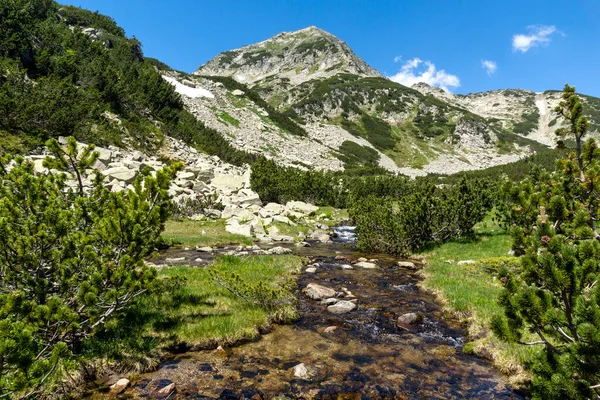 Landskap Med Liten Bergsflod Nära Muratovo Sjö Pirin Mountain Bulgarien — Stockfoto