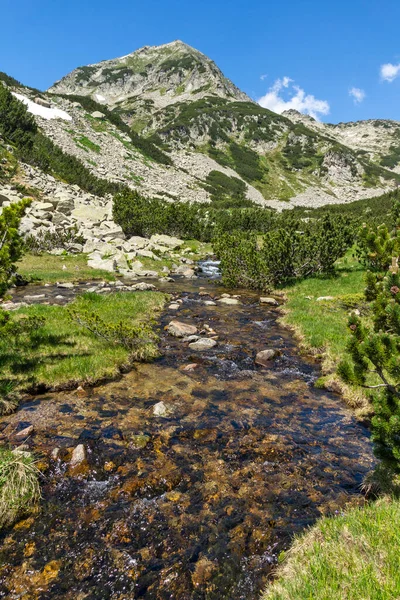 Landskab Med Small Mountain River Nær Muratovo Pirin Mountain Bulgarien - Stock-foto