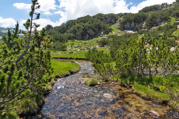 Paisagem Com Pequeno Rio Montanha Perto Lago Muratovo Pirin Mountain — Fotografia de Stock