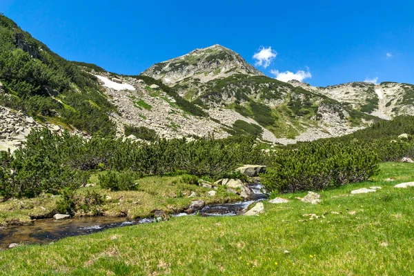 Lanskap Dengan Sungai Gunung Kecil Dekat Danau Muratovo Gunung Pirin — Stok Foto