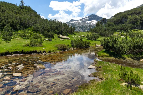 Landscape Small Mountain River Banderishki Chukar Peak Pirin Mountain Bulgaria — Stock Photo, Image