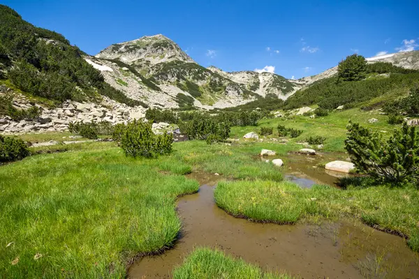 Maisema Pieni Vuori Joki Lähellä Muratovo Järvi Pirin Mountain Bulgaria — kuvapankkivalokuva