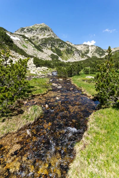 Landscape Small Mountain River Muratovo Lake Pirin Mountain Bulgaria — Stock Photo, Image