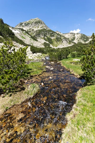 Landscape Small Mountain River Muratovo Lake Pirin Mountain Bulgaria — Stock Photo, Image