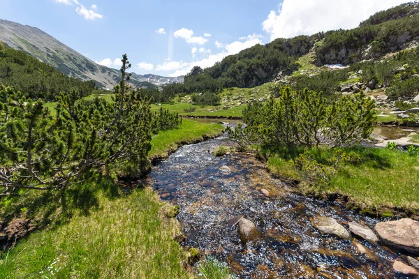 Landscape Small Mountain River Muratovo Lake Pirin Mountain Bulgaria — Stock Photo, Image